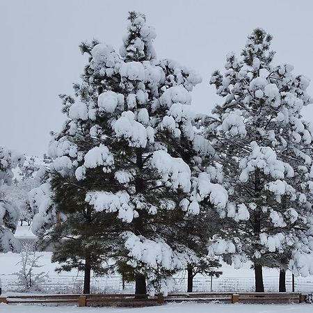 River Falls Lodging -Black Hills, South Dakota ฮ็อตสปริงส์ ภายนอก รูปภาพ