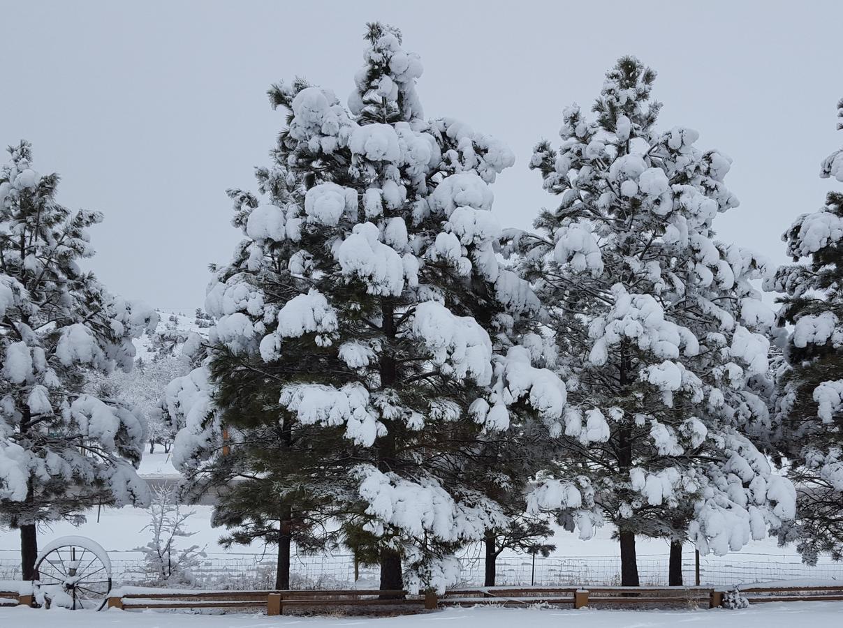 River Falls Lodging -Black Hills, South Dakota ฮ็อตสปริงส์ ภายนอก รูปภาพ